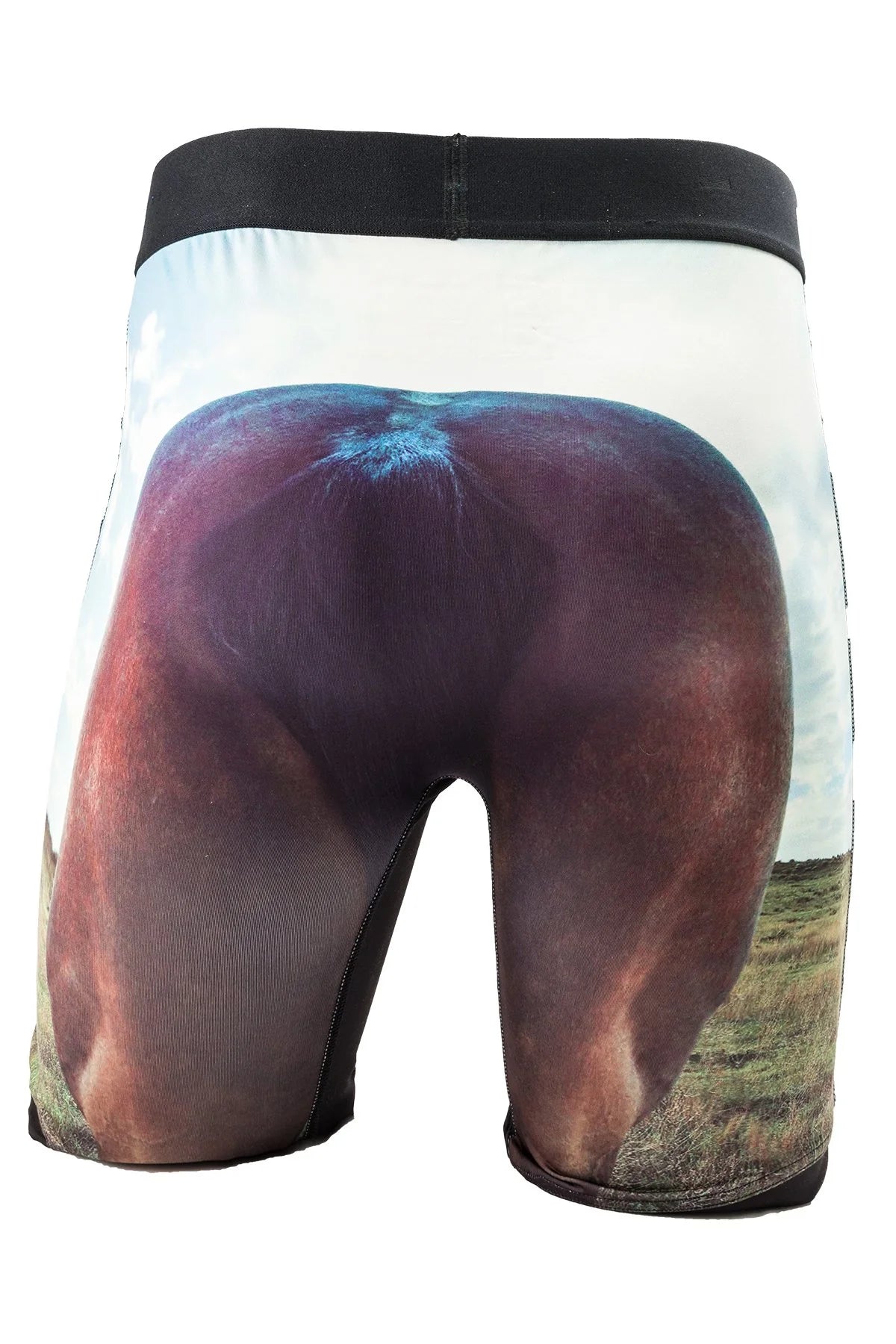 Cinch Men's Boxers - 9" Inseam